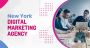 Get Best Digital Marketing Service in New York City - The Co