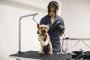 Mobile Dog Grooming Services in Abu Dhabi - We Come to You!