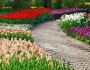 The Landscape Consultancy