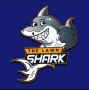 The Lawn Shark