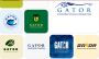 Stand Out with Boutique Design Logo and Expert Logo Designer