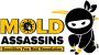 The Mold Assassins