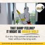 Reliable Mold Remediation in Metro Atlanta, Georgia