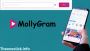 How to Use MollyGram: Anonymous Instagram Story Viewer Guide
