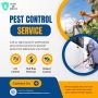Professional Pest Control Services for a Pest-Free Property 