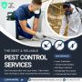 Gold Coast Termite Inspection Protection