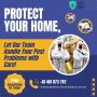 Gold Coast Termite Protection Services