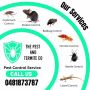 Expert Termite Inspection Services in Brisbane 