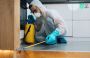Reliable Termite Treatment Services – Protect Your Property 