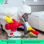 Reliable Pest Control Services in Hope Island  Safe & Effect