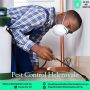 Expert Pest Control Services in Helensvale – Safe & Reliable