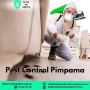 Professional Pest Control in Pimpama – Safe, Effective 