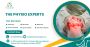 Physiotherapy For Total Knee Replacement