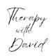 Therapy with David