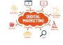 Top Digital Agency in Mohali – Boost Your Brand Online