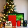 Corporate Christmas Gifts Wholesaler in Chennai | The Second