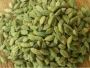 Shagun Exporter’s Top-Grade Green Cardamom