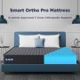 Improve Your Sleep Quality with The Sleep Company's Orthoped