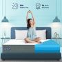 Discover Unmatched Comfort with Our Premium Mattresses!