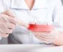 Get in Touch with Experienced Wantirna Dentist for Every Nee