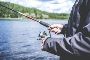Explore Smith Lake Outdoor Activities | The Smith Lake Life