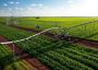 Agriculture Software That Works for Dallas Farming Needs