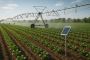 Precision Agriculture Software Development in Dallas Precision Agriculture Software Development in Dallas