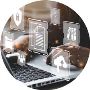 Managed VOIP Services - The Tech Consultants