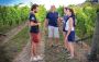 Hawkes Bay Wine Tours Hawkes Bay Wine Tours