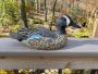 Buy Blue Winged Teal Decoys – Durable & Lifelike Designs
