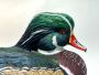 Shop Custom Wood Duck Decoys | Hand-Painted & Durable