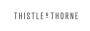 Thistle and Thorne Weddings