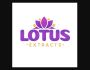 blue lotus liquid
