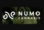 NUMO Cannabis NUMO Cannabis