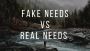 real needs