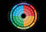 4 color personality type: The Mediator