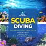 Snorkeling In muscat