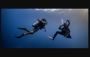 Open Water Diver Course price Koh Tao