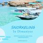 Snorkeling In muscat