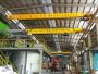 Hoist crane
