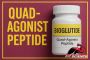 Bioglutide half life