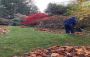 Thriving Garden Design Inc | Landscape Designer in Seattle