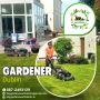 Gardener – Cultivating the Beauty of Your Garden