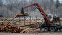US Softwood Export Council Funding Shapes Global Timber