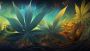 Times of Hemp - TOH