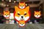 Unearth The Best Market Analyst’s Shiba inu Crypto Predictio