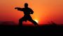 Walking The Life As A True Martial Artist