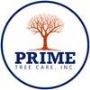 Tree service