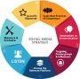 Social Media Digital Marketing Strategy: Tiny Bull