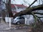 Need Settler for Wind Damage Insurance Claim